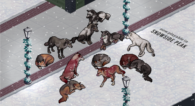 DEC 2023 | Snowside Peak; Wolf Release